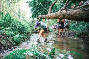 BIB: 
                            <button type="button" onclick="openModal(25478343)" class="btn btn-primary btn-sm float-right btn-popup" data-toggle="modal" data-target=".modal-high-quality">
                        <i class="fas fa-shopping-cart"></i> Add to Cart
                    </button>
                                            <button type="button" onclick="isThisMe(25478343, true)" class="btn btn-success btn-sm float-right btn-popup btn-isme hidden" data-toggle="tooltip" data-placement="bottom" title="นี่คือรูปของคุณใช่ไหม คลิกที่นี่เพื่อเอาเข้าอัลบั้ม">
                        <i class="fas fa-plus"></i> Add to album
                    </button>
                    <button type="button" onclick="isThisMe(25478343, false)" class="btn btn-warning btn-sm float-right btn-popup btn-isnotme hidden">
                        <i class="fas fa-ban"></i> Remove from album
                    </button>